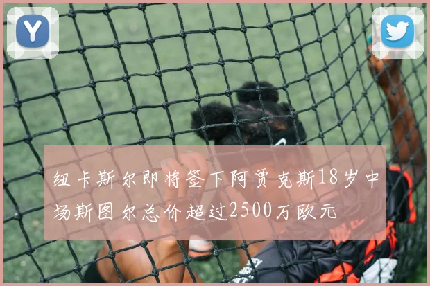纽卡斯尔即将签下阿贾克斯18岁中场斯图尔总价超过2500万欧元