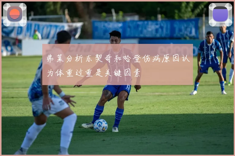 弗莱分析东契奇和哈登伤病原因认为体重过重是关键因素